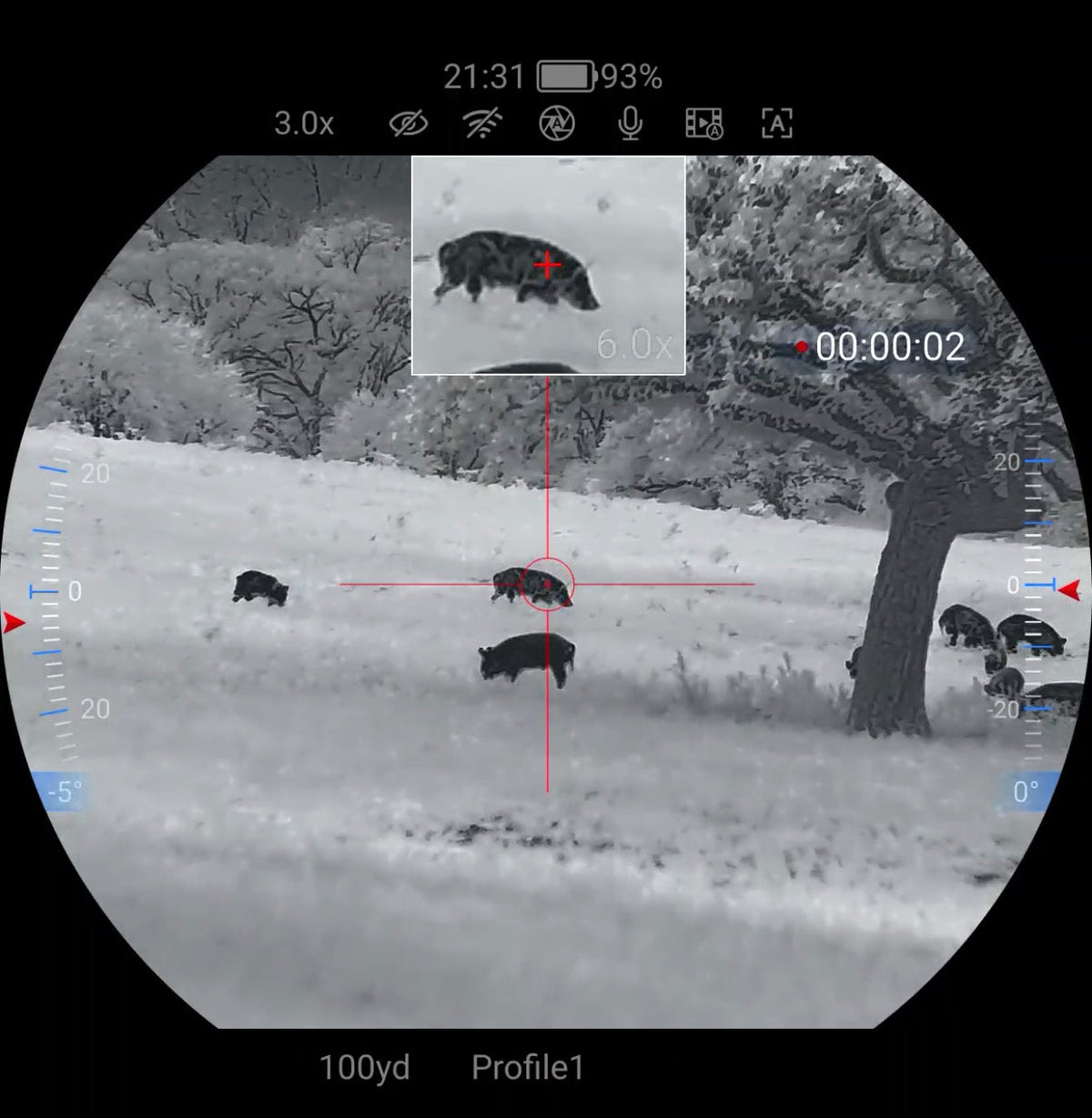 Guided Night Hog Hunts in Texas | Going Dark Outfitters