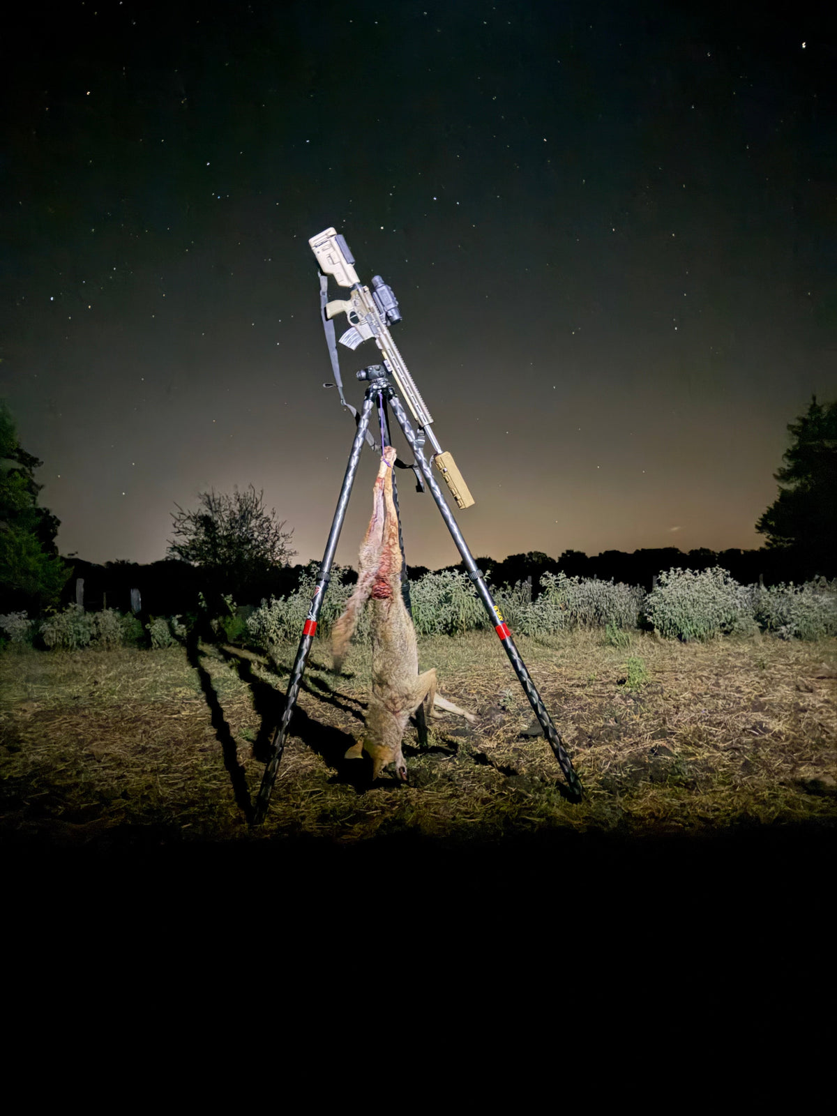 Coyote Trophy Gallery | Going Dark Outfitters